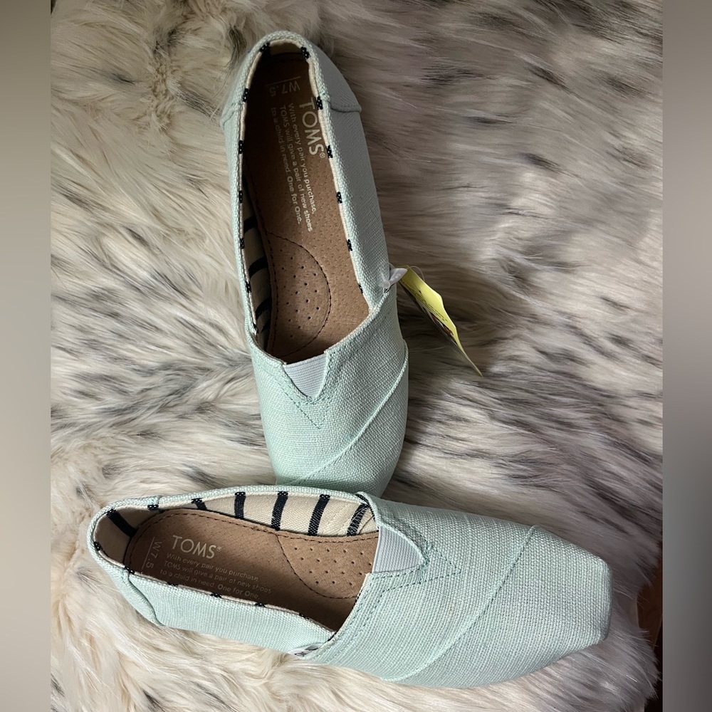 Classic Toms Aqua Glass Heritage Canvas Shoes